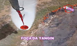 İzmir’de makilik yangını