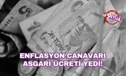 Asgari ücret dolar karşısında eriyor: Alım gücündeki kayıp 2 bin 200 TL’yi aştı