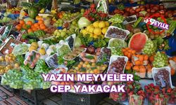 Bahçeleri don vurdu: Yazın meyveler cep yakacak!