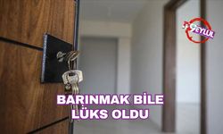 Barınmak bile lüks oldu