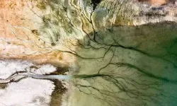 Kuraklık alarmı: Barajlar kritik seviyede, içme suyu riski büyüyor!