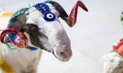 Kurban Bayramı tatili 9 gün olur mu?