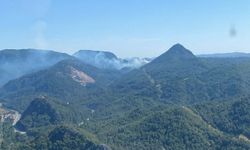Marmaris’te orman yangını