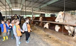 Çiğli’nin minikleri çiiftlikte hem öğrendi hem eğlendi
