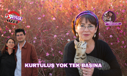 Kurtuluş yok tek başına!