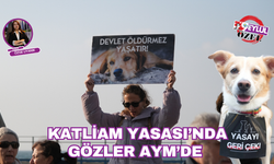 Katliam Yasası’nda gözler Anayasa Mahkemesi’nde