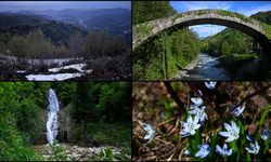 Rize'de turizm hazırlıkları tamamlandı
