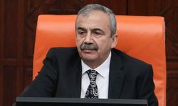 DEM Parti: Önder'in cenaze programı netleşince bilgileri paylaşacağız