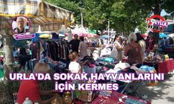 Urla'da Sokak Hayvanlarını İçin Kermes