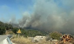 Sakız Adası'ndaki yangın kontrol altına alındı