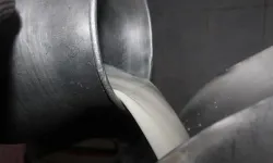 Çiğ süt üreticisine 5 yılda 19,1 milyar lira destek sağlandı!