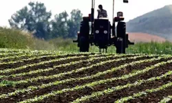 Çiftçiye müjde: 5,5 milyar liralık tarımsal destek ödemesi hesaplara yatıyor! Ödeme takvimi ve tüm detaylar