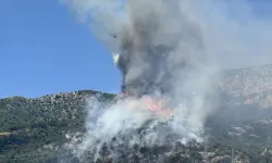 Muğla Bodrum’da orman yangını: Müdahale havadan ve karadan sürüyor!