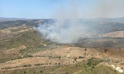Seferihisar'da korkutan yangın: Müdahale sürüyor!