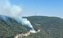 Manisa'da korkutan orman yangını!