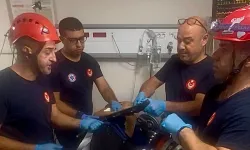 Oyun kâbusa döndü! Ağaçtan düşen çocuk demirlere saplandı