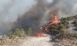 Manisa'nın Kula ilçesinde orman yangını