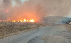 Çanakkale'de tarım arazisinde yangın