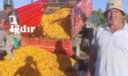 1 TL'lik kayısı paylaşımı 1,4 milyon TL cezaya maloldu!