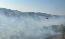 İzmir'de korkutan yangın: Müdahale başladı