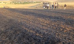 Diyarbakır’da anız yangını: 30 dönüm arazi yandı