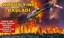 İzmir yine yanıyor! Ormanlık alanda alevler yükseldi: Faili tespit edildi