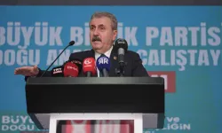 Destici'den 'CHP kurultay davası' yorumu: "Sonuç değişmez ama ahlaksızlık var"