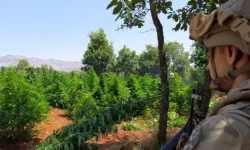 1.780 personelle dev 'zehir' operasyonu