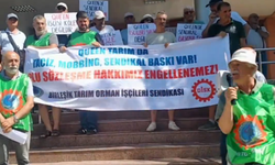 Queen Seracılık işçileri sendikal hakları için direniyor