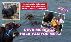 Devrimci Boğa Ferdinand unutulmadı!