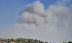 Manisa Kırsalında Yangın: Mahalleler Boşaltılıyor