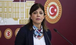 Meral Danış Beştaş, Japonya'da ırkçılık var dedi...