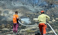 İzmir Aliağa yangını kontrol altında