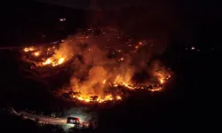 İzmir'de orman yangını ikinci gününde: Hayvanlar tahliye edildi!
