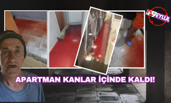 Apartman kanlar içinde kaldı.. Meğer evde kurban kesmişler!