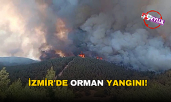 İzmir'de orman yangını!