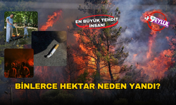 Orman yangınlarının çıkış nedenleri açıklandı!
