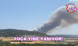 Foça yine yanıyor!