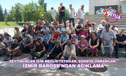 Zeytinlikler için Meclis’teydiler, şiddete uğradılar:  İzmir Barosu’ndan açıklama