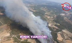 Kınık'ta orman yangını