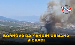 Bornova'da ziraat arazisinde başlayan yangın ormana sıçradı