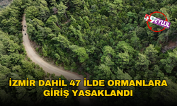 İzmir dahil 47 ilde ormanlara giriş yasaklandı