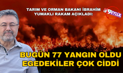 Bakan Yumaklı açıkladı: Bugün 77 yangın oldu
