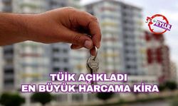 TÜİK açıkladı: En büyük harcama kiraya