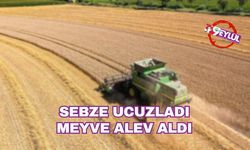 Sebze ucuzladı, meyve alev aldı!
