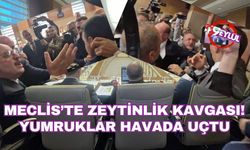 Meclis’te 'zeytinlik' kavgası! Yumruklar havada uçtu