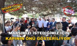 İşçiler Yücel'e isyan etti: Maaşımızı istediğimizin için kapının önü gösteriliyor