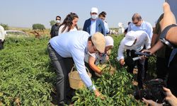 Ekrem İmamoğlu’ndan çiftçilere mesaj