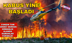 İzmir yine yanıyor! Ormanlık alanda alevler yükseldi: Faili tespit edildi