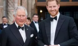 Harry, Diana'nın soyadını almak istiyor